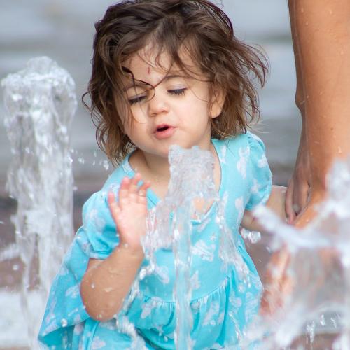 Photo #3551135