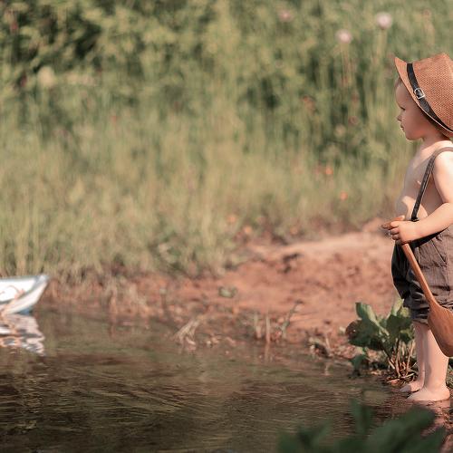 Photo #3551454