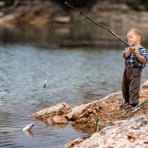Photo #3551462