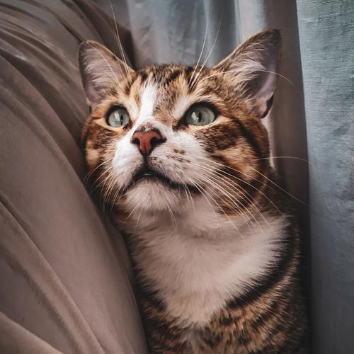 Photo #3552079