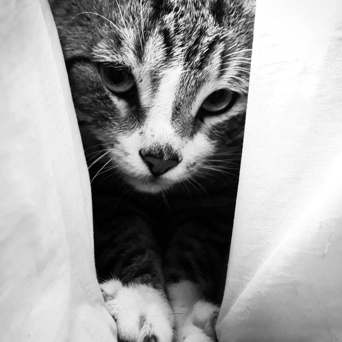 Photo #3552080