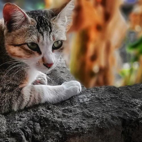 Photo #3552157