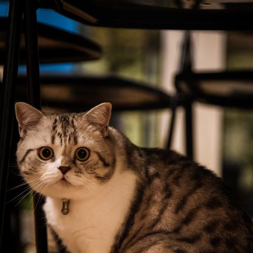 Photo #3552178