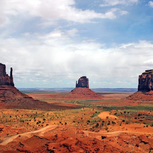Photo #3552324