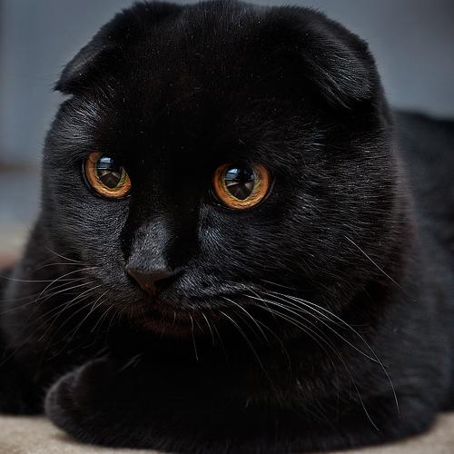 Photo #3552350
