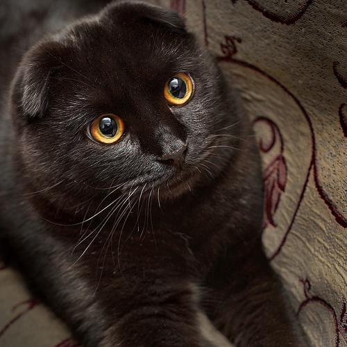 Photo #3552351