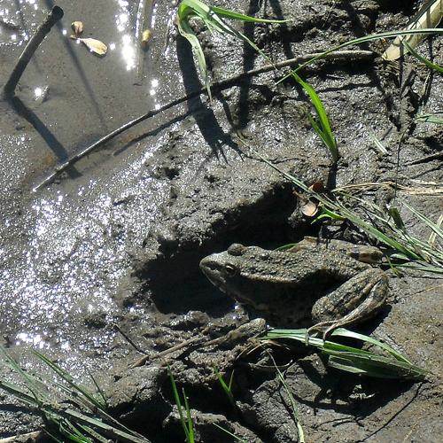 Photo #3552602