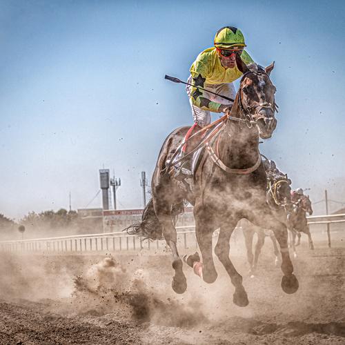 Photo #3552875