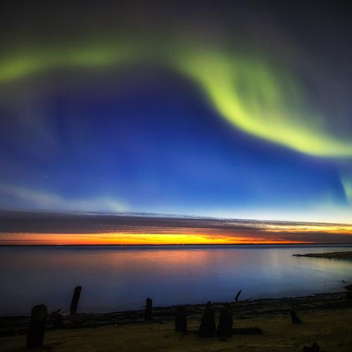 Photo #3553279