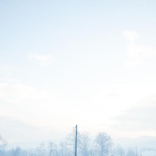 Photo #3553315