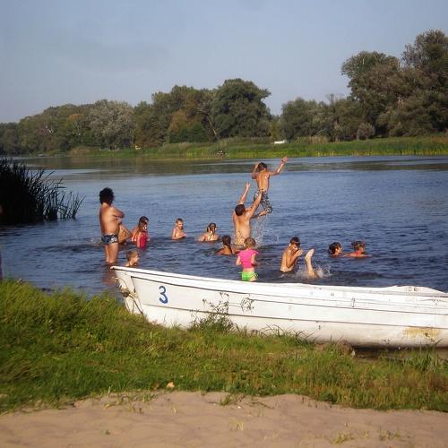 Photo #3553525