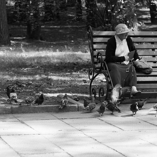 Photo #3553584