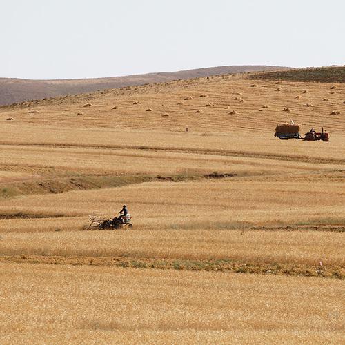 Photo #3553724