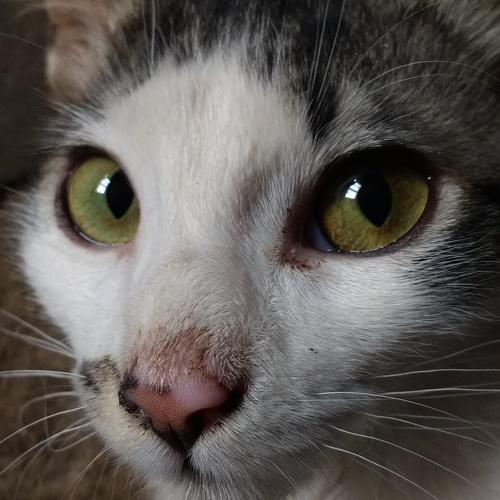 Photo #3553895