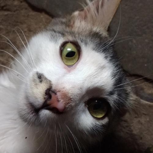 Photo #3553898