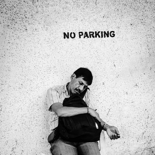 Photo #3554250