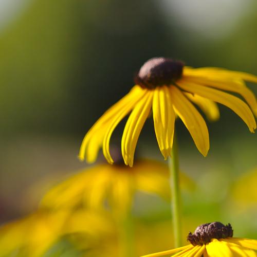 Photo #3554401