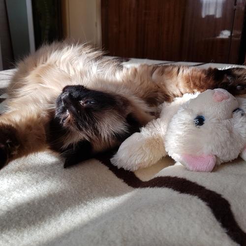 Photo #3554721
