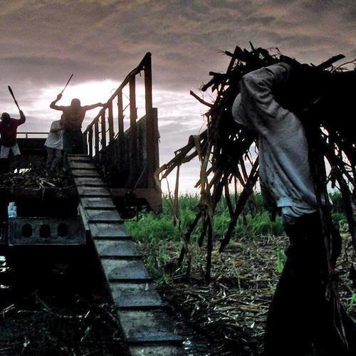 Photo #3554735