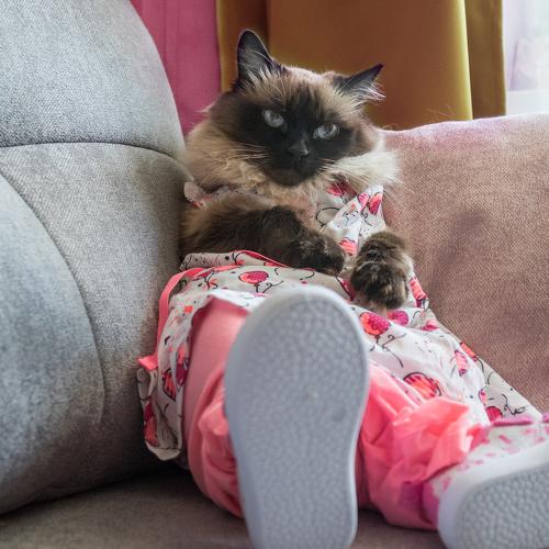 Photo #3554757