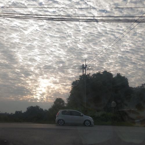 Photo #3555120