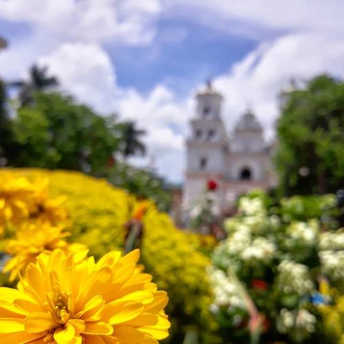 Photo #3555421