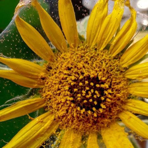 Photo #3555422