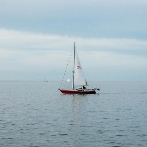 Photo #3555464