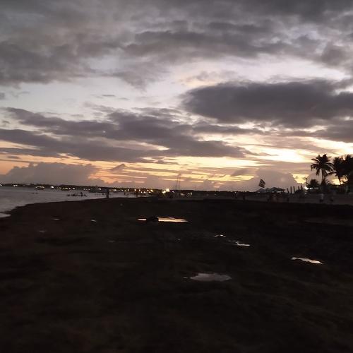 Photo #3555770