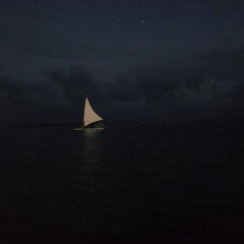 Caravela solitária