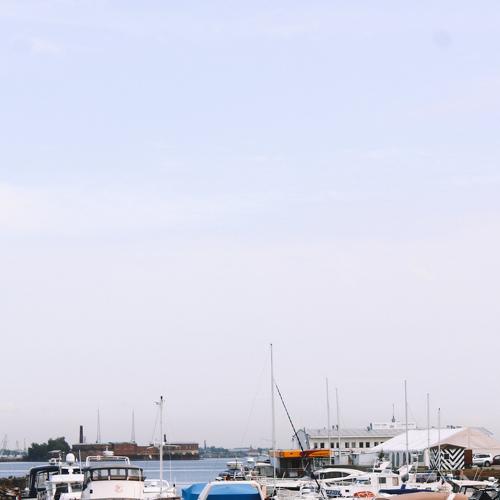 Photo #3555829