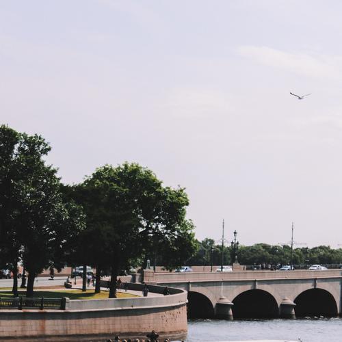 Photo #3555837