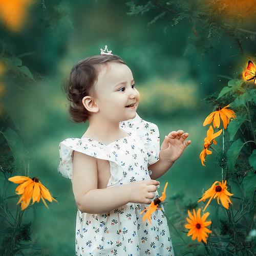 Photo #3556319