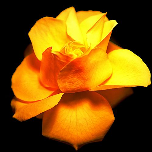 Photo #3556824
