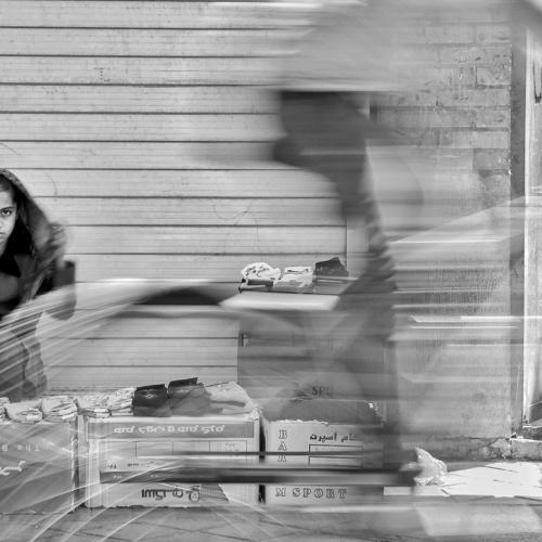 Photo #3556957