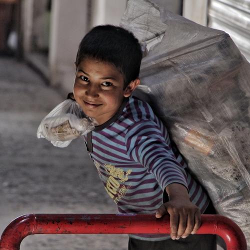 Photo #3556990