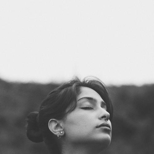 Photo #3556993