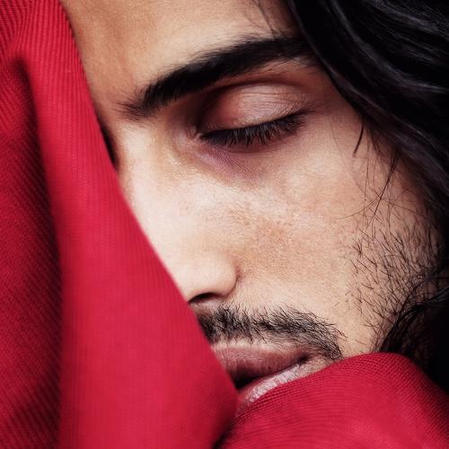 Photo #3557000