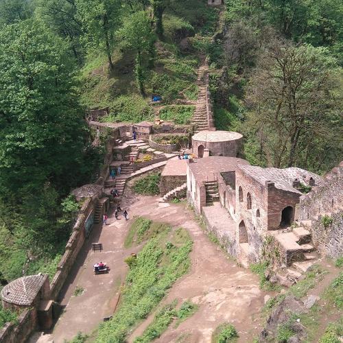 Photo #3557008