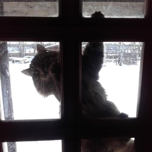Photo #3557079