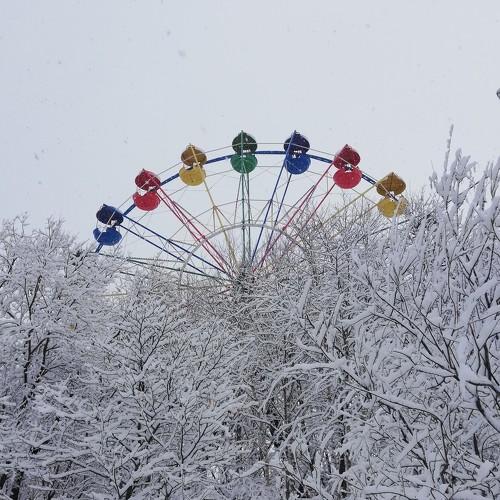 Photo #3557134