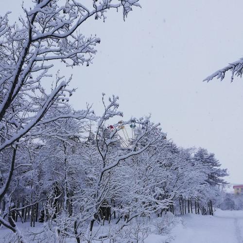 Photo #3557136