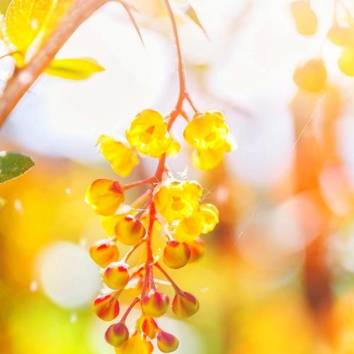 Photo #3557207