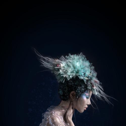 Photo #3557385
