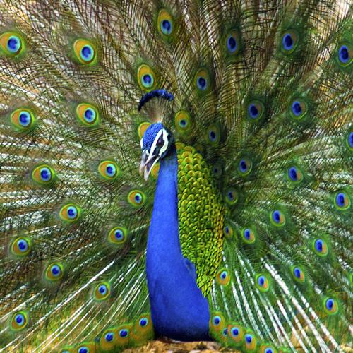 Photo #3557771