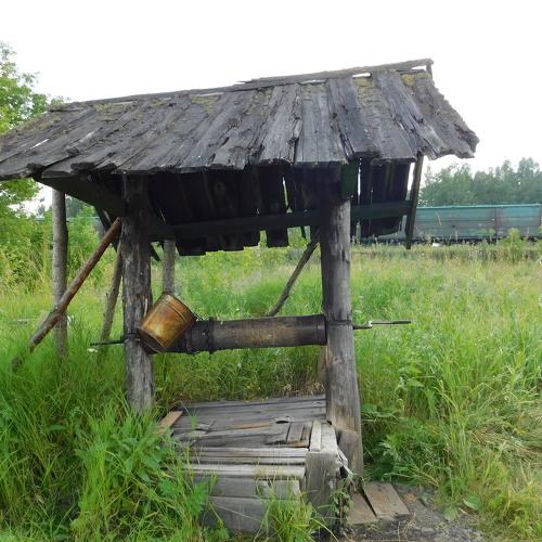 Photo #3557834