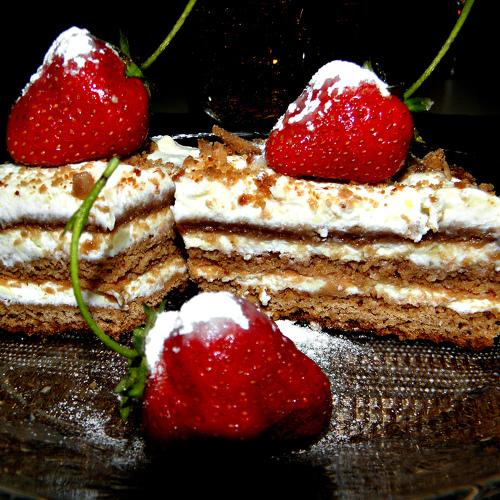 Photo #3558006