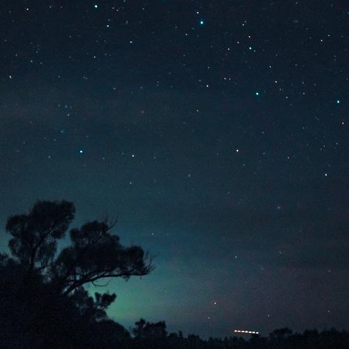 Photo #3558188