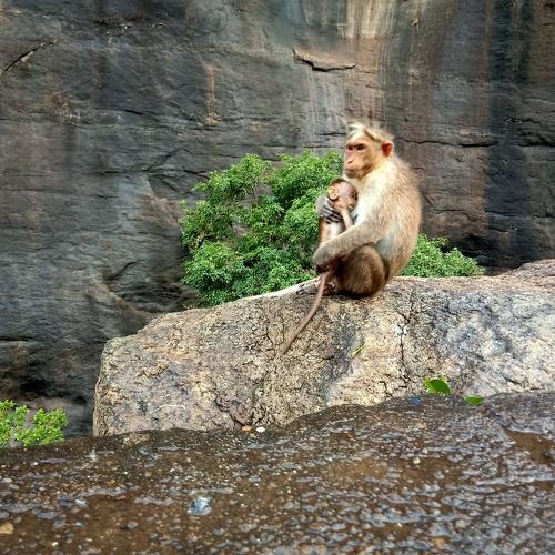 Mother's Love