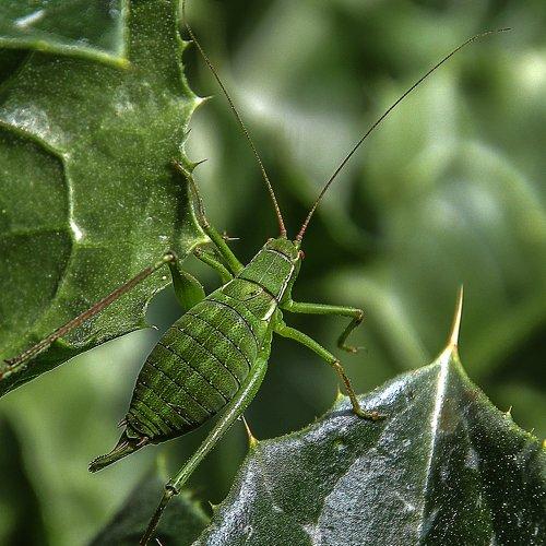 Photo #3558349